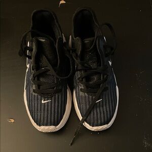 Lebron James Basketball Shoes